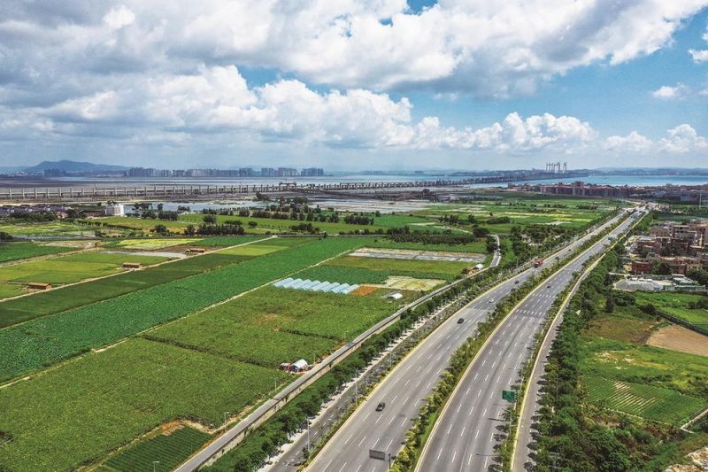 夏日里的石狮湿地公园