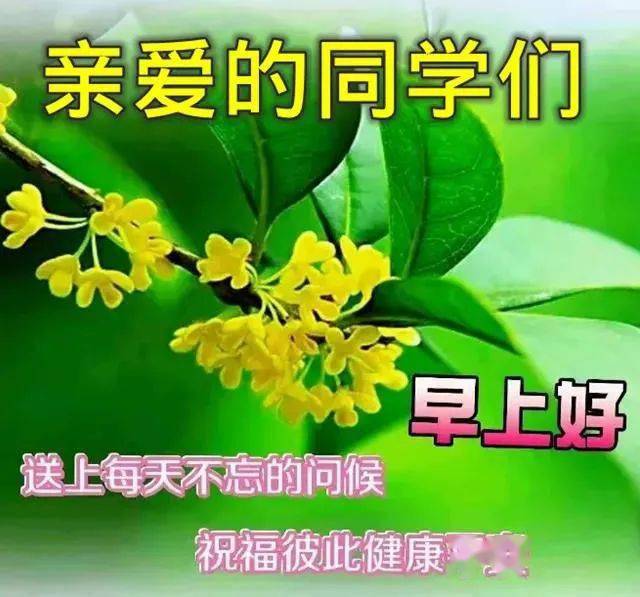 早上好表情包问候老同学四季平安好运常来