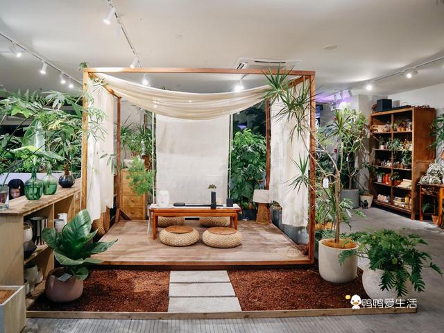 厦门华美空间藏一个绝美拍照地,误入仙境,可吃饭可拍照可看书!