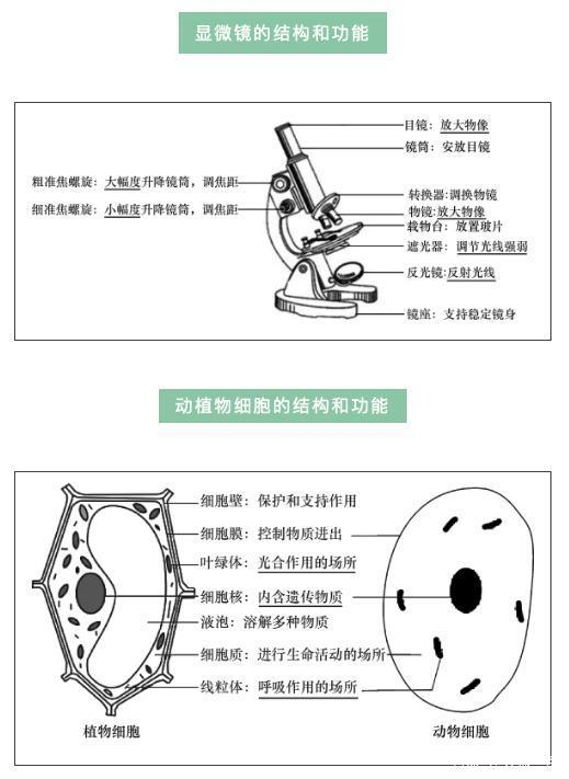 初中生物:考前必看的初中生物结构图,初中生提分好资料!