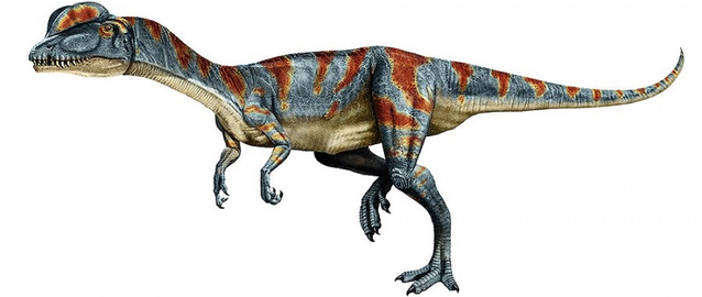 真问真答 20160204 -百家号