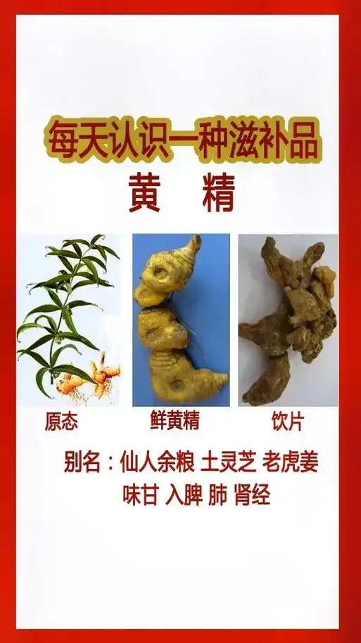 热点小助手 每天认识一种滋补品!黄精的功效与作用,黄精怎么 - 抖音