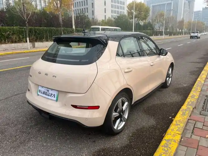 欧拉 欧拉好猫  2021款 400km标准续航 雅典娜版图片