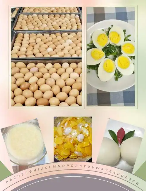 兴平蒙特梭利小学本周食堂营养餐