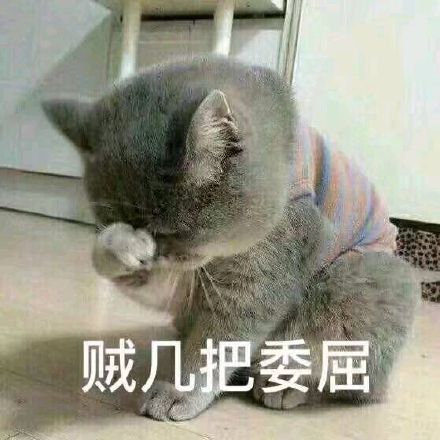 贼几把委屈_猫咪_几把_委屈表情