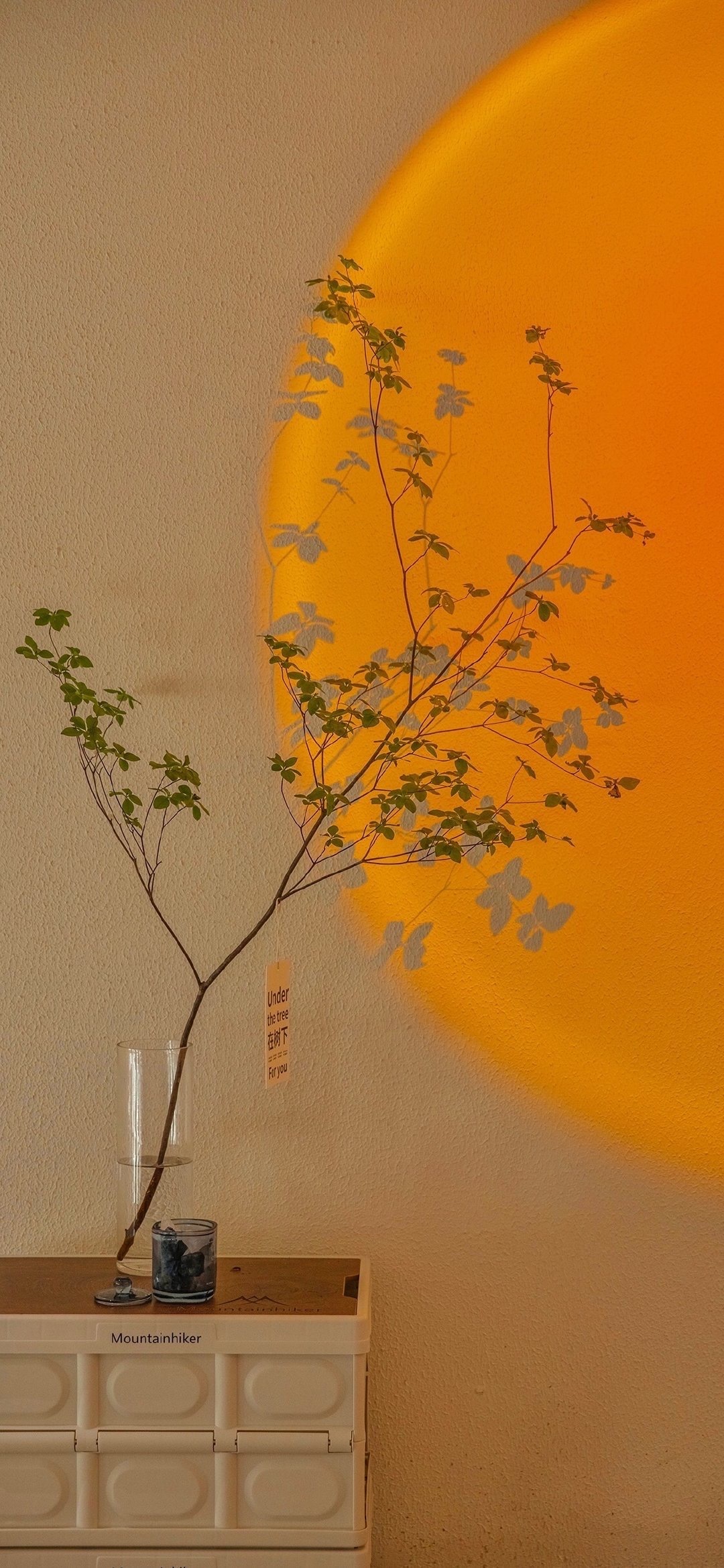 手机壁纸|高级感超强的风景微信背景图