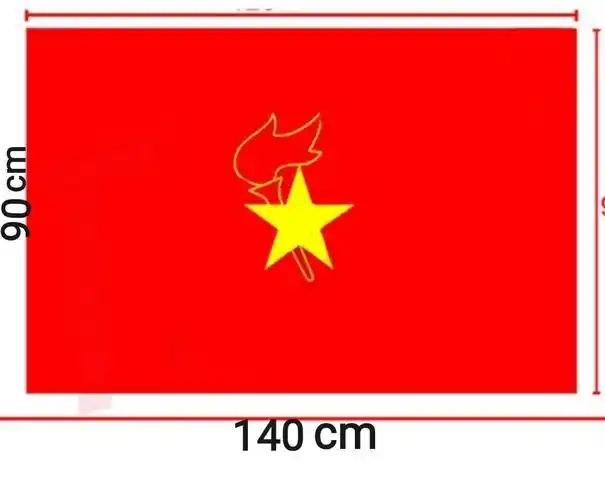 中国少年先锋队大队旗