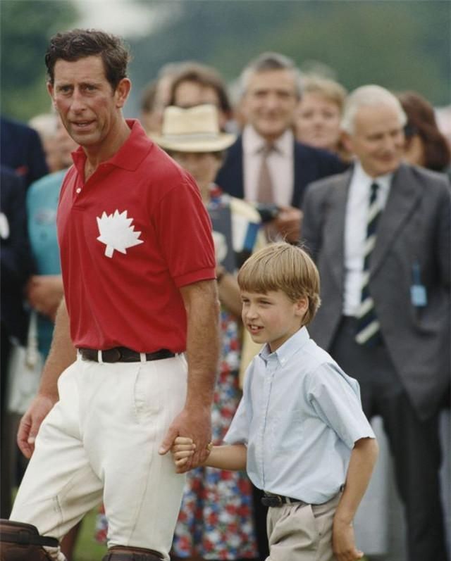 1990年6月哈里王子也诞生了成为两个孩子的父亲的查尔斯王子.