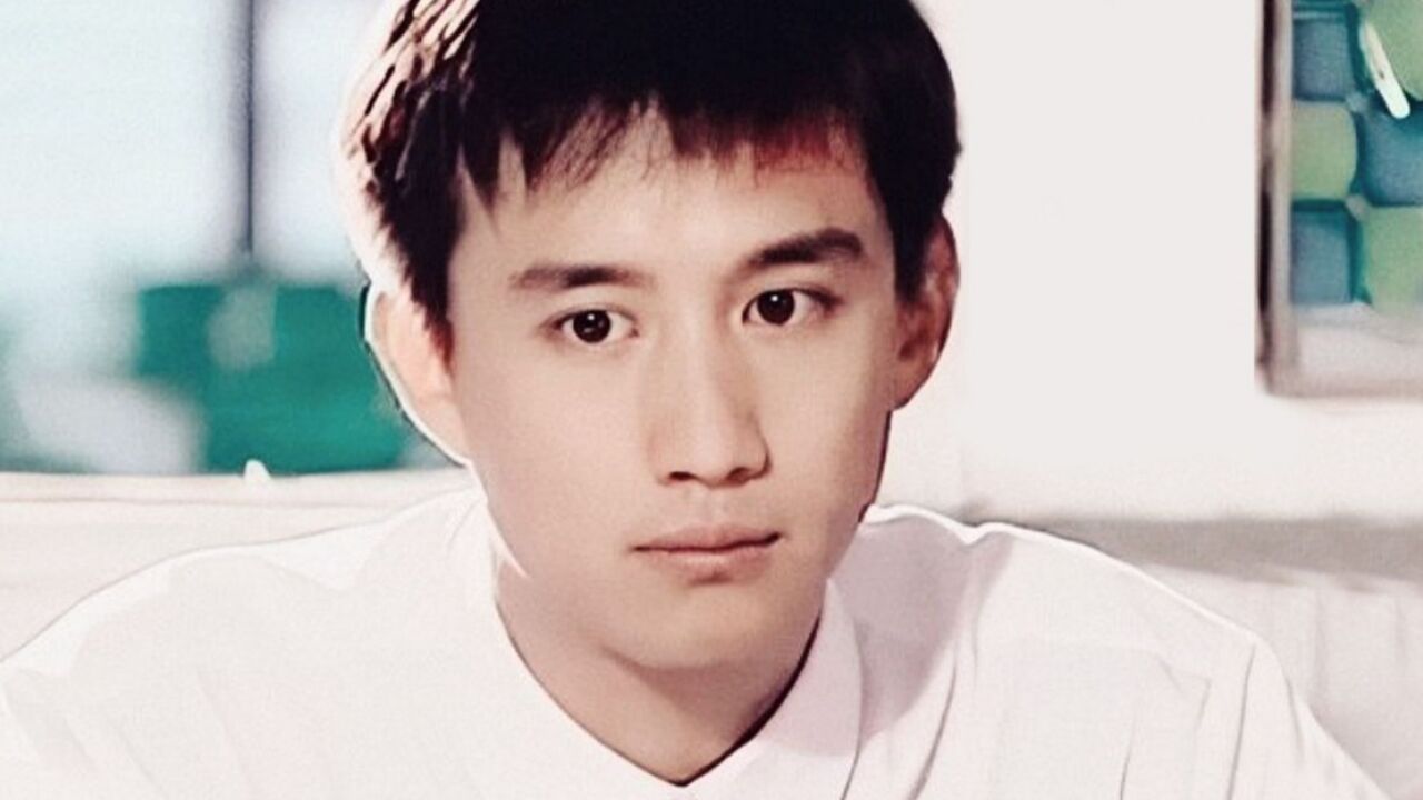 黄磊年轻时参加台湾综艺,那时智商已经碾压众人,不愧是神算子