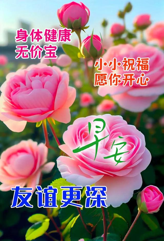 11月7日最新漂亮的早上好图片,温馨早晨问候祝福语,早安吉祥