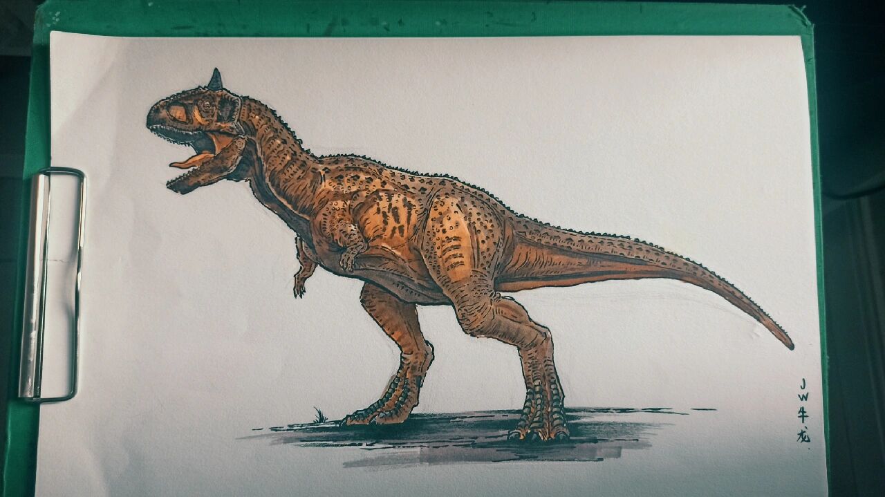 侏罗纪世界食肉牛龙 又优化了一下短手牛牛,没有按