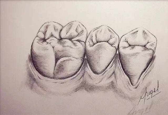 牙齿素描——_手机搜狐网