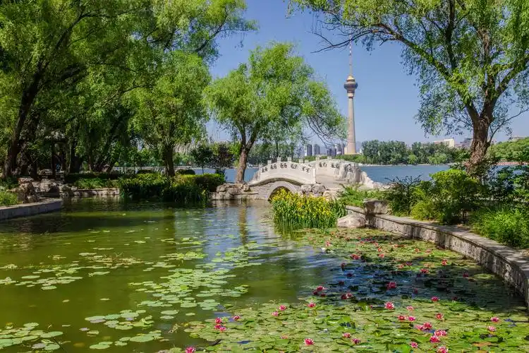 北京玉渊潭公园 (二) .