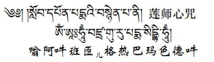 最新莲师心咒感应录