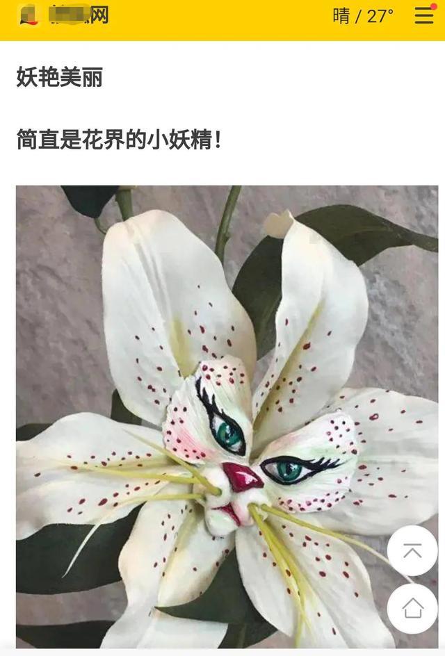 揭秘15种"稀世奇花",他们的稀奇美艳吸引无数人,真真假假