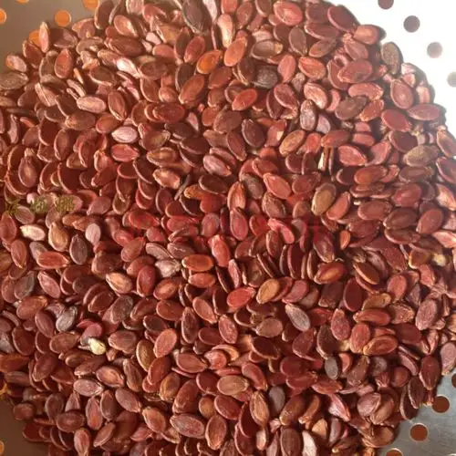 江西赣南新鲜西瓜籽赣州信丰红瓜子 炒熟原味 生瓜子500g促销 生瓜子1