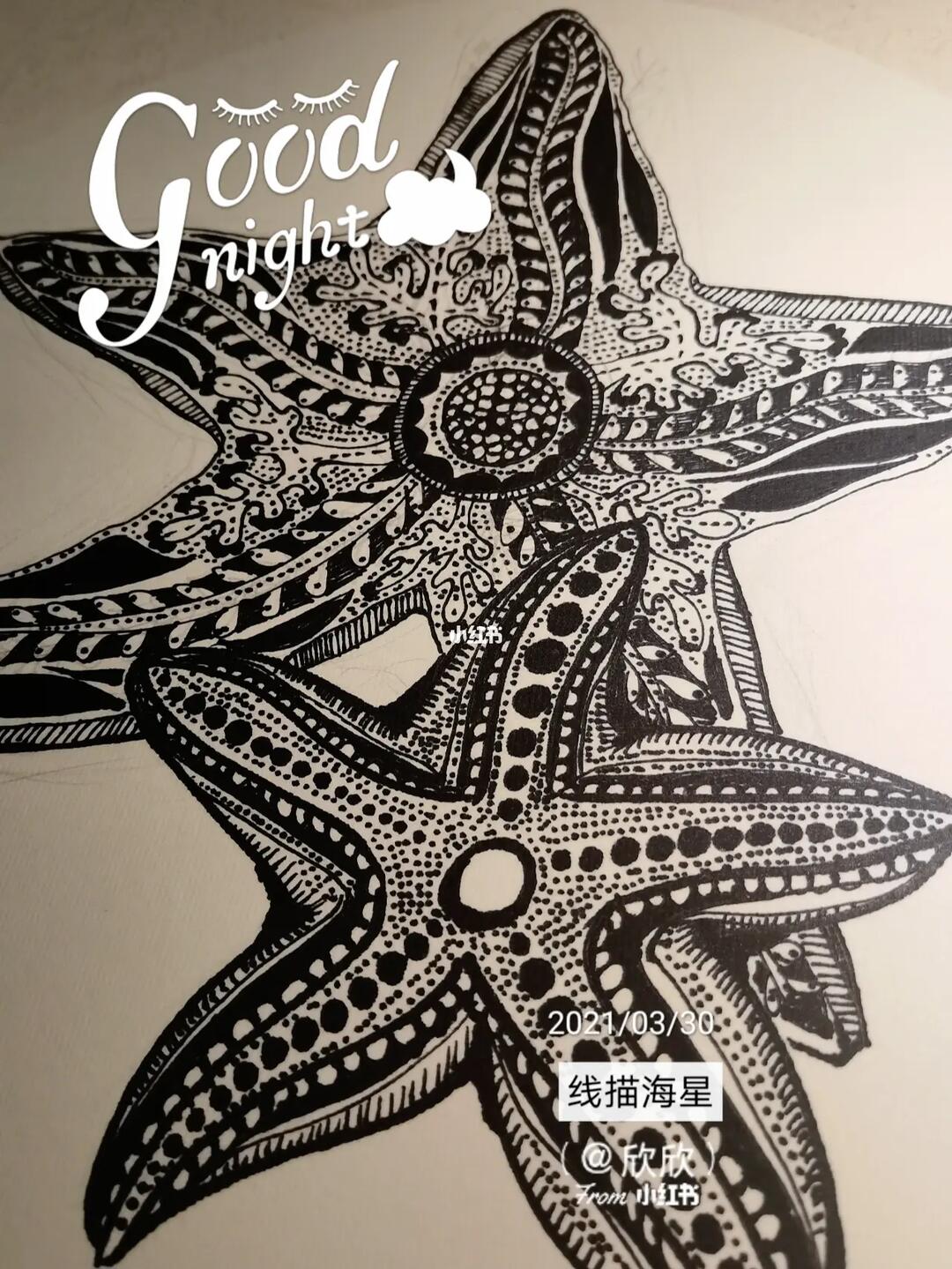 线描99海星99晚安啦#画画  #线描