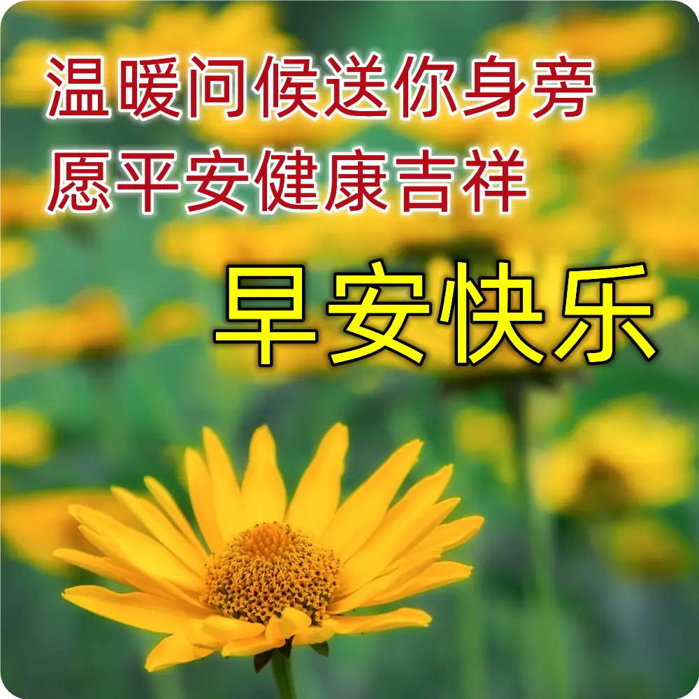 9张最新清新漂亮早上好图片带祝福语 冬日清晨早上好问候语温馨句子
