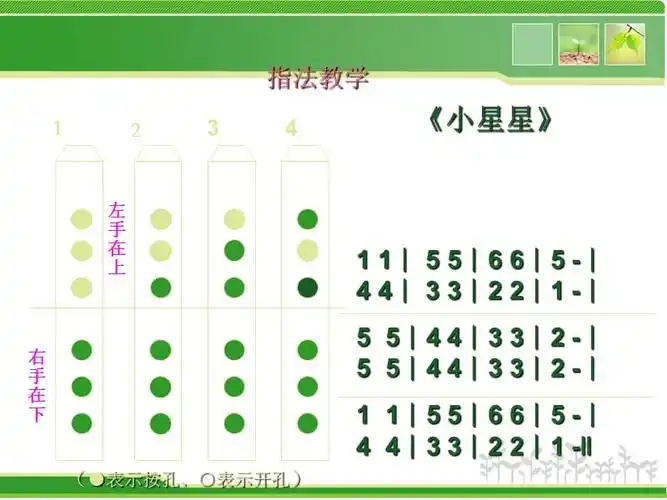 六孔竖笛指法ppt