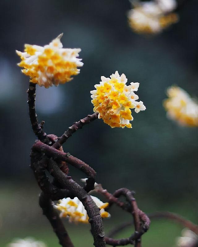 640_801竖版 竖屏