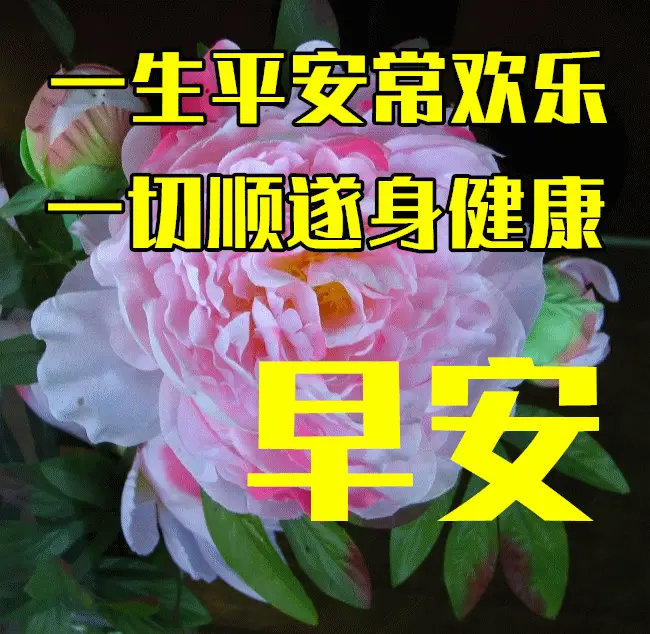 4月12日最新早上好表情包图片大全,早上好问候祝福语_短信_生活_世界