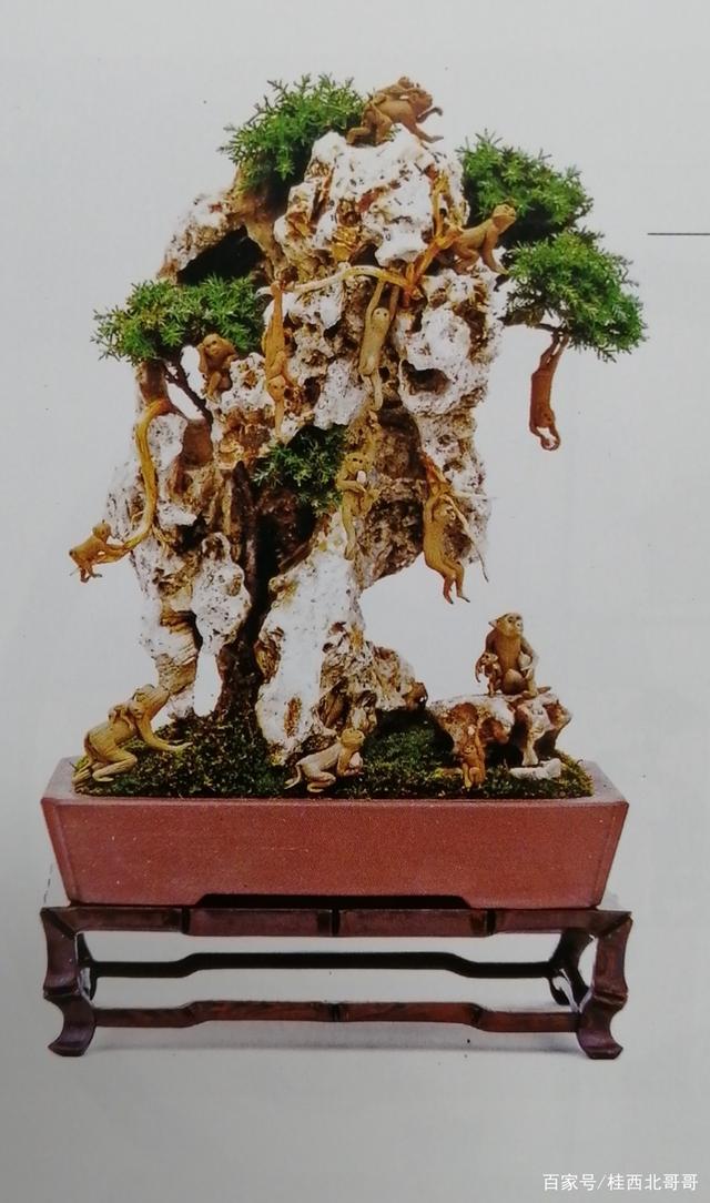 真的很美!好几幅很不错"微型盆景"造型