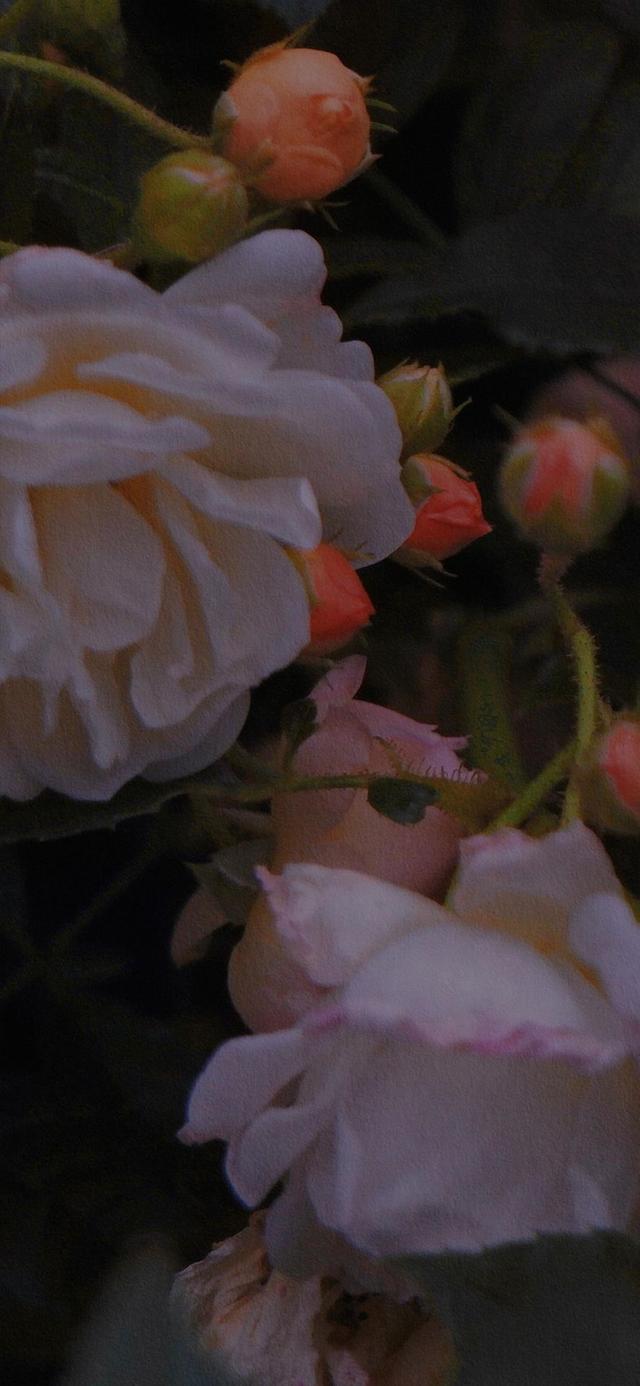 ios蝌蚪语音分身哪里买高级感壁纸4k全屏女