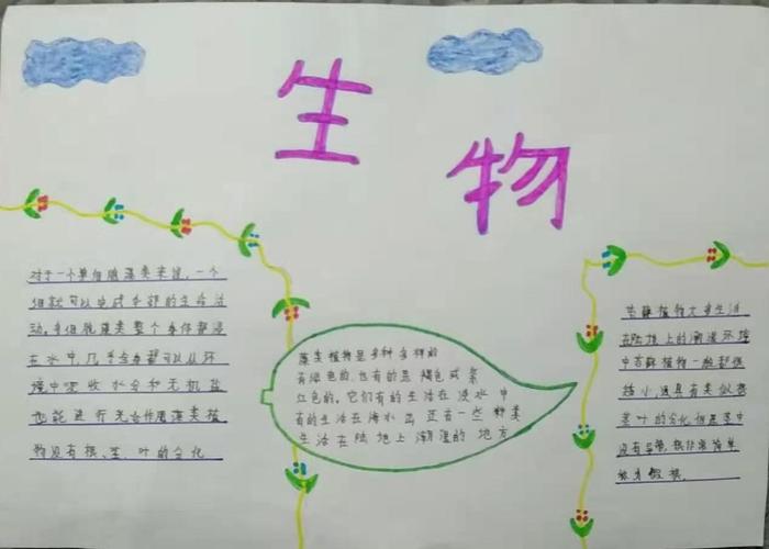 区河西实验初中七年14班生物手抄报主题内容《生物圈中的绿色植物》