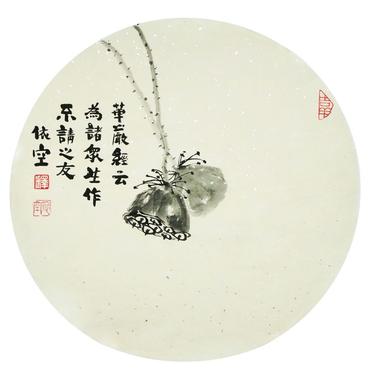 木鱼声声唤来又一秋依空禅意小品欣赏