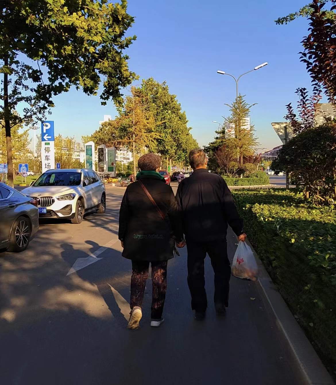 高清老年夫妻背影图片,老年夫妻夕阳下牵手背影唯美图片