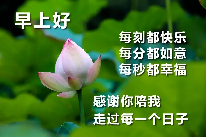 微信群发夏天送清凉早安问候祝福早上好动态图片 最漂亮的早上好图片