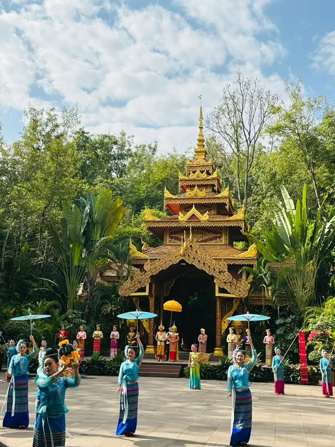 云南西双版纳五天自由行,这份攻略不用动脑_公园_景点_夜市