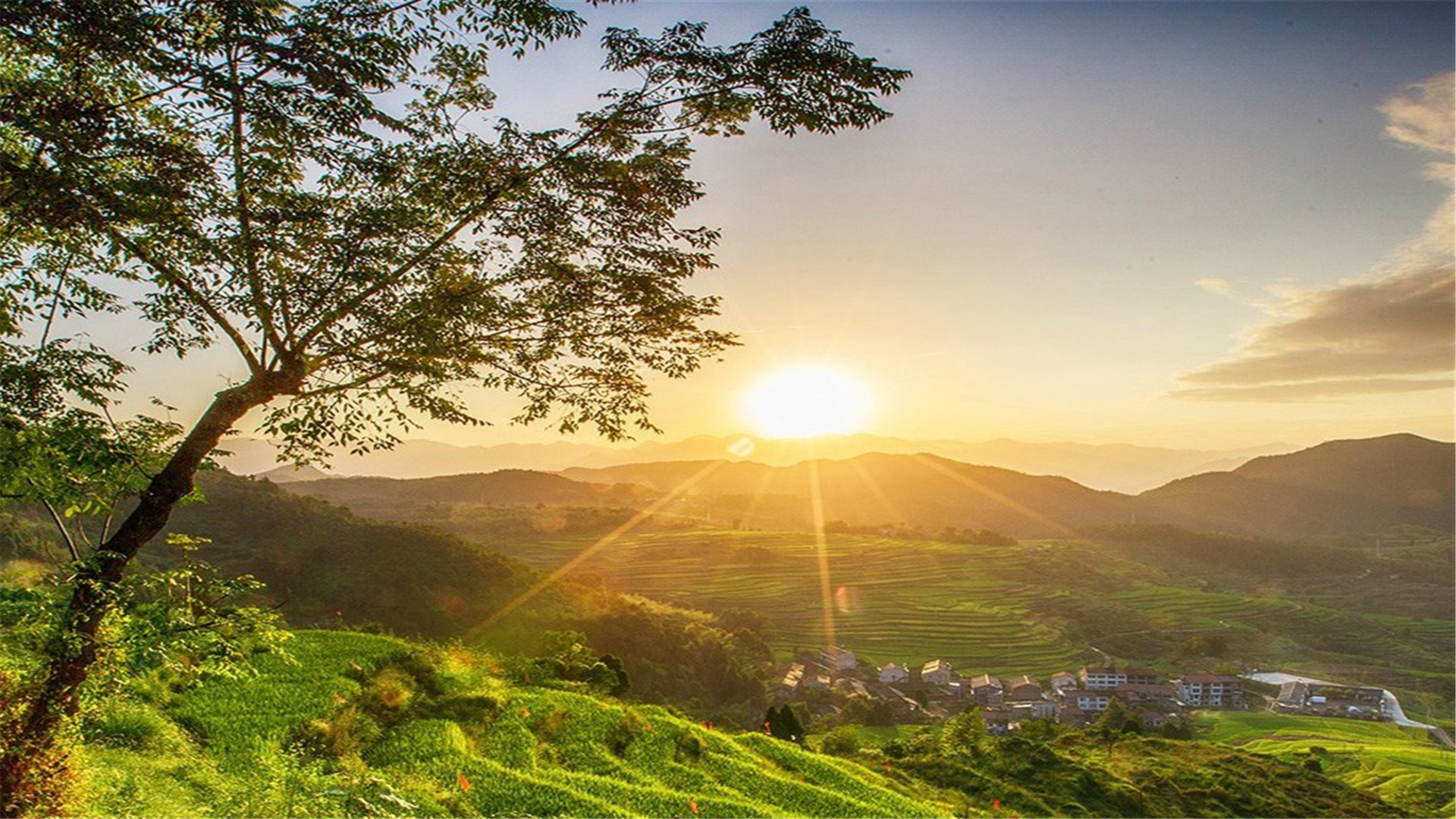 静谧田野风景电脑桌面壁纸高清大图预览1920x1080_风景壁纸下载_美桌