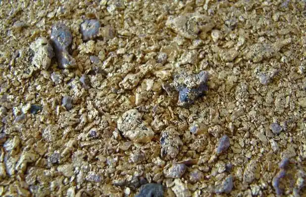 砂中金命是什么意思