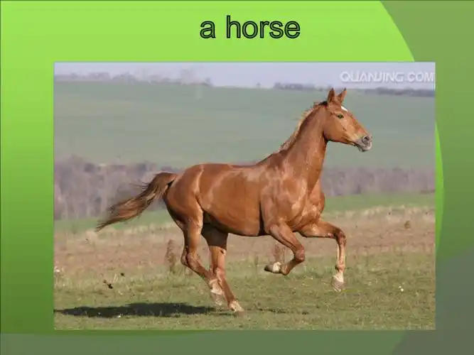 冀教2011课标版三年级起点_三年级下册(2013年12月第1版)_小学英语