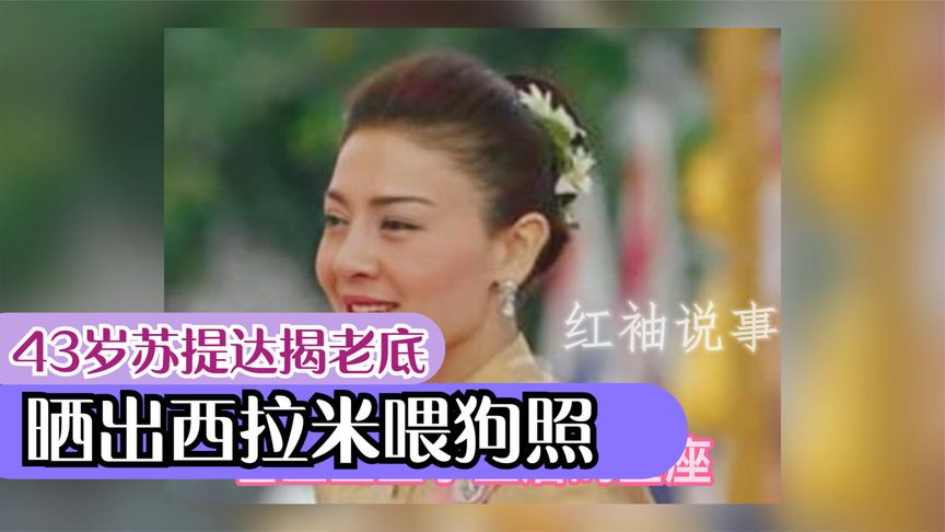 43岁苏提达铁面无私,晒西拉米"喂狗照",找准死穴出手快准狠-vlog视频