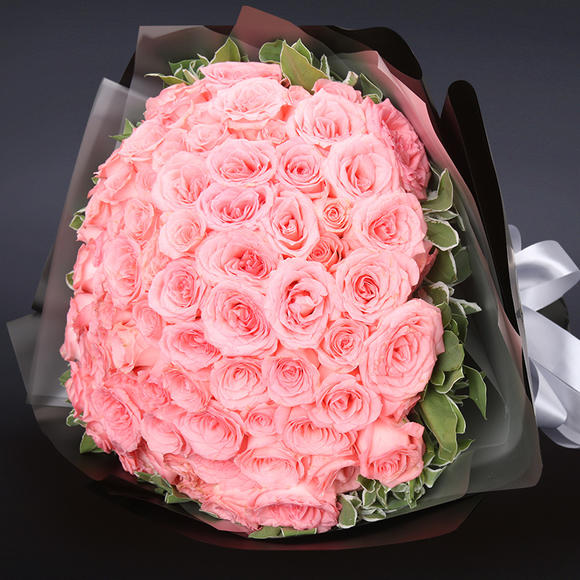 99朵粉红玫瑰 高山积雪(tyj60)