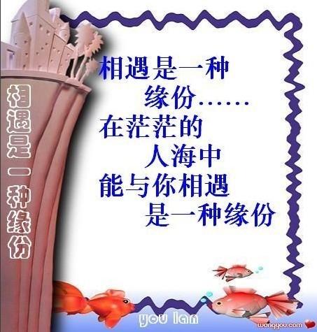 你们相信有缘分吗