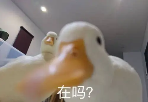 求对话开场表情包05