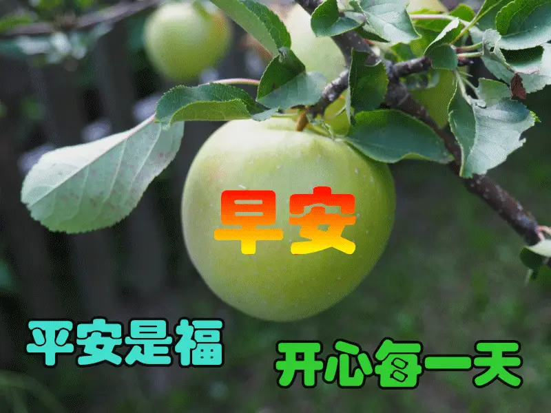 朋友圈最美特漂亮早上好表情包,2021最美早晨好动态图片大全