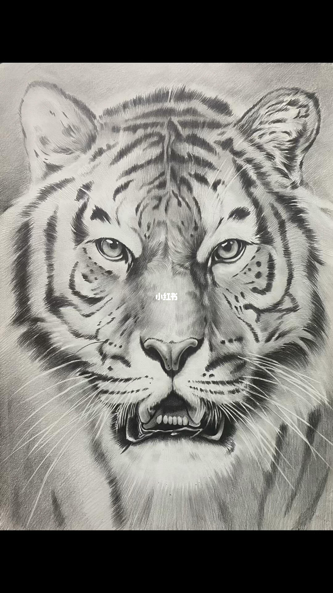 素描作品虎