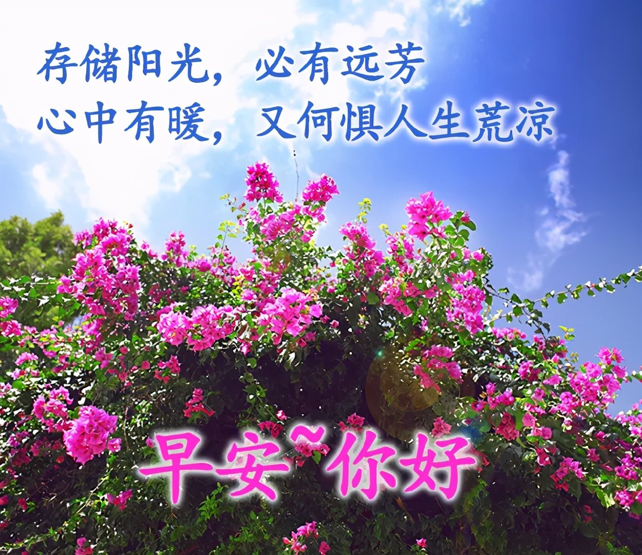 早上好唯美图片朋友圈早安精致短句特别漂亮的早上好动态图