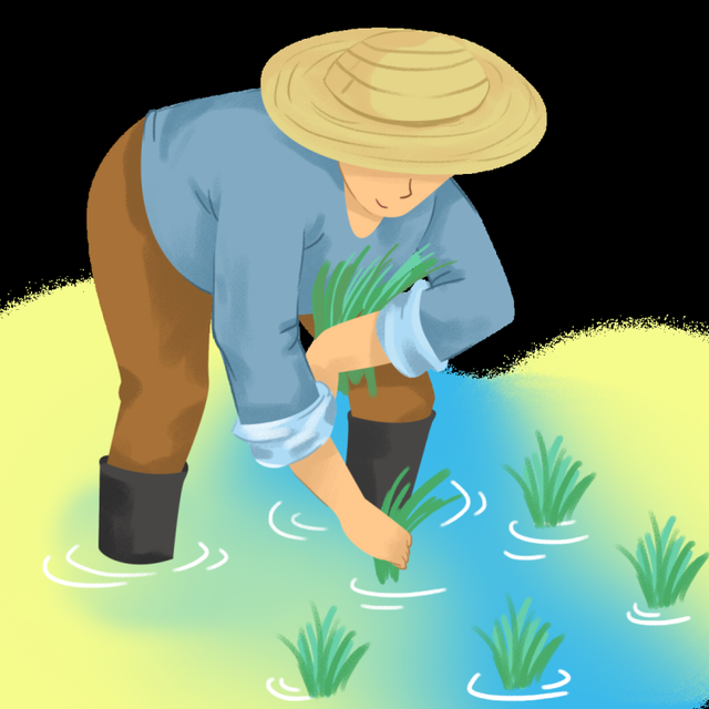 椒江"全能"的街道干部,这回他们下地帮农民种田了!