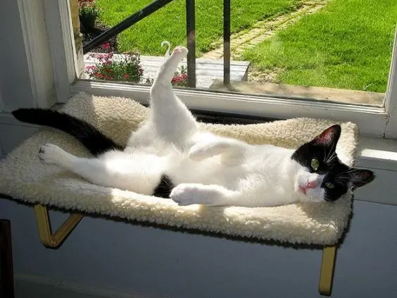 【创意研究】什么是优雅的葛优瘫