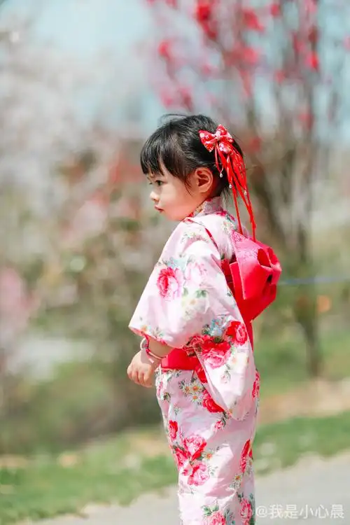 樱花与和服少女