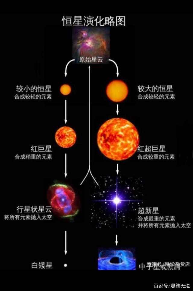 白矮星与中子星可以发育成黑洞吗?其发育过程是什么样的?请看