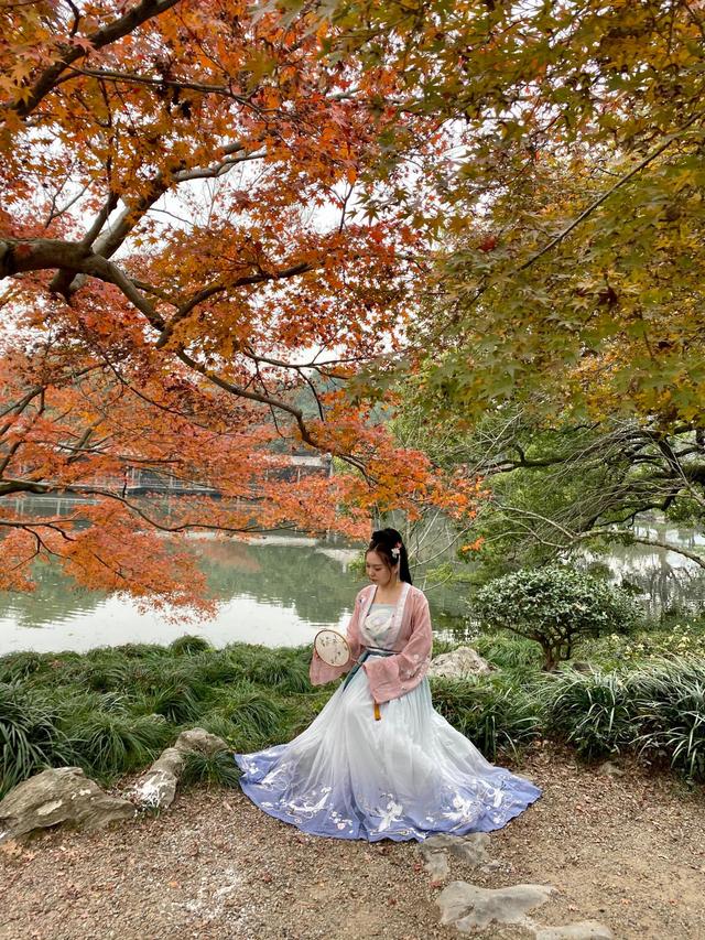 杭州西湖:花港观鱼