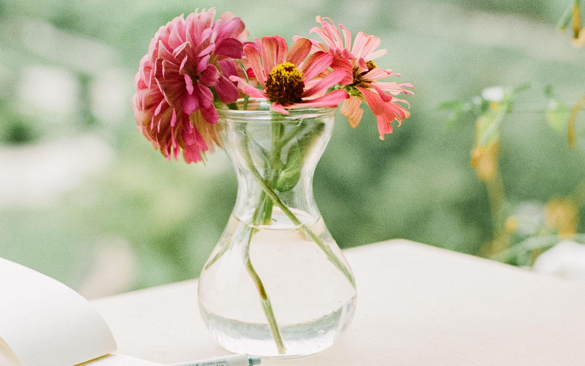 小清新日系唯美静物图片桌面壁纸