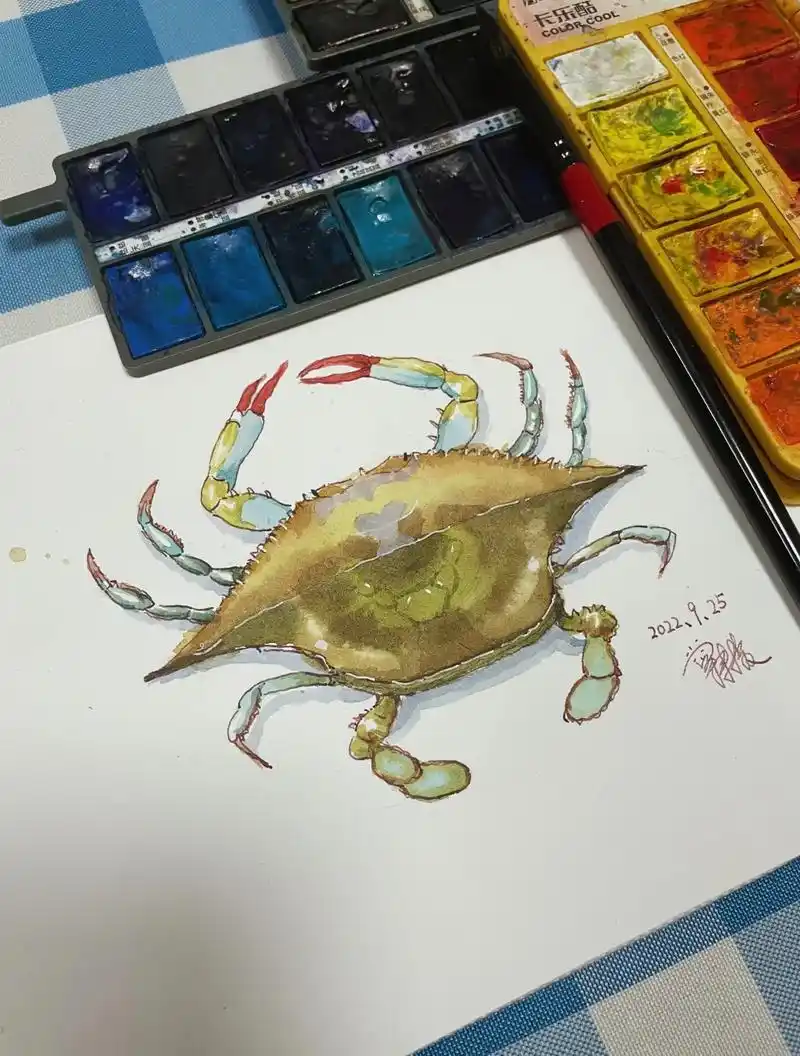 秋天,教小学员画个肥美大螃蟹.画螃蟹时,螃蟹腿要画出关节的感 - 抖音