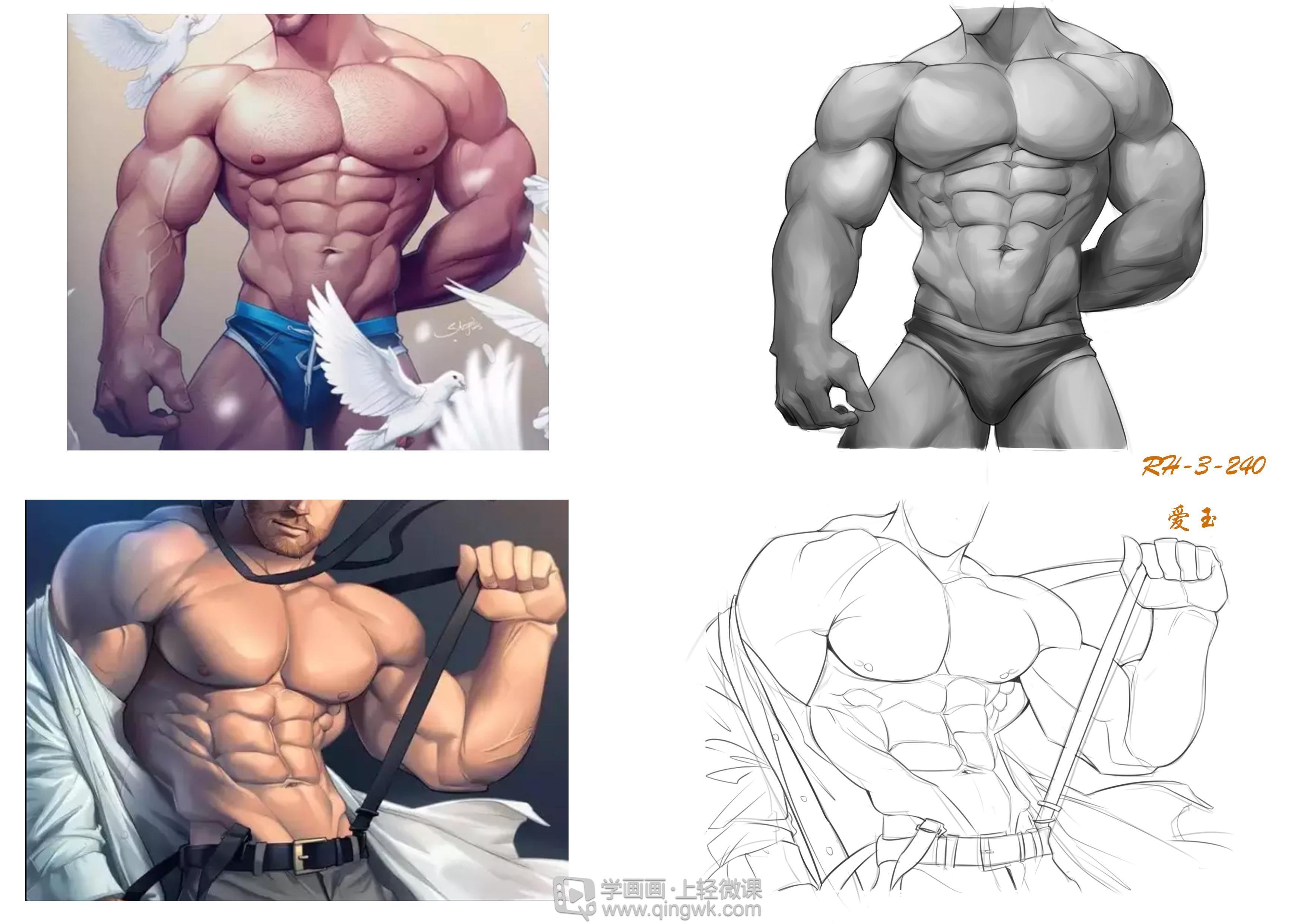 临摹男性肌肉—角色人物肌肉绘画训练
